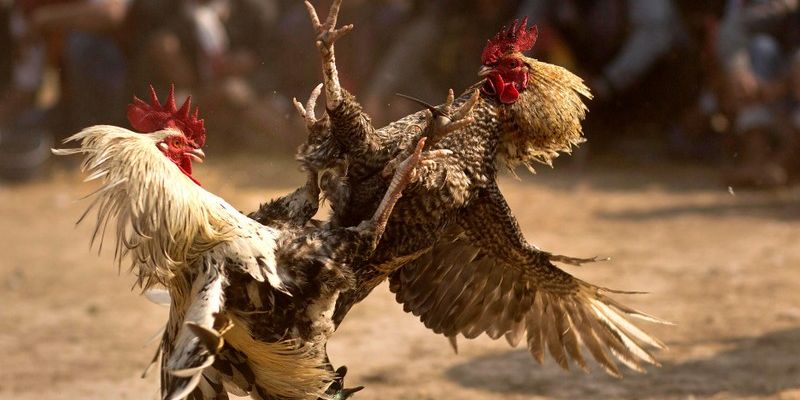 Kinh nghiệm xây dựng chiến lược khi chơi